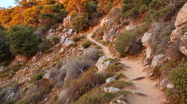 Top pneus trail à considérer pour vos explorations